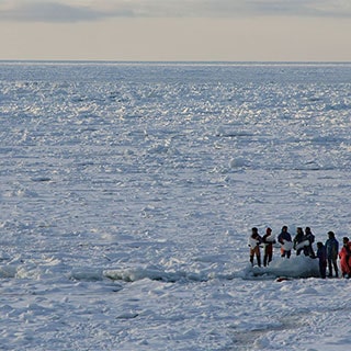 流氷体験